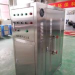 Small Stainless Steel Shell Electric Steam Generators